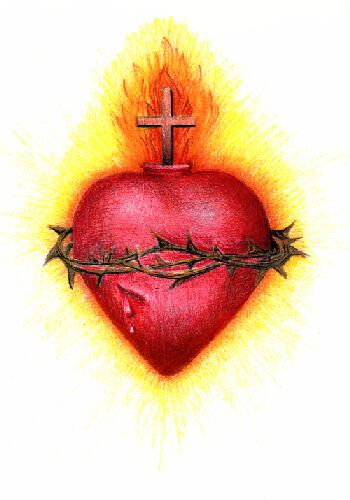 Image result for image of the sacred heart